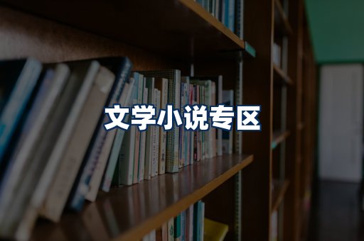文学小说PDF展示